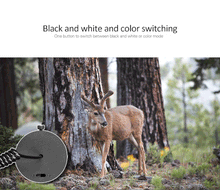 Load image into Gallery viewer, Clear Vision Scope - 850nm Infrared LED IR Night Vision Riflescope Hunting Scopes Optics Sight Waterproof Hunting Camera Hunting Wildlife Night Vision